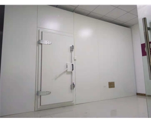 電磁波屏蔽室